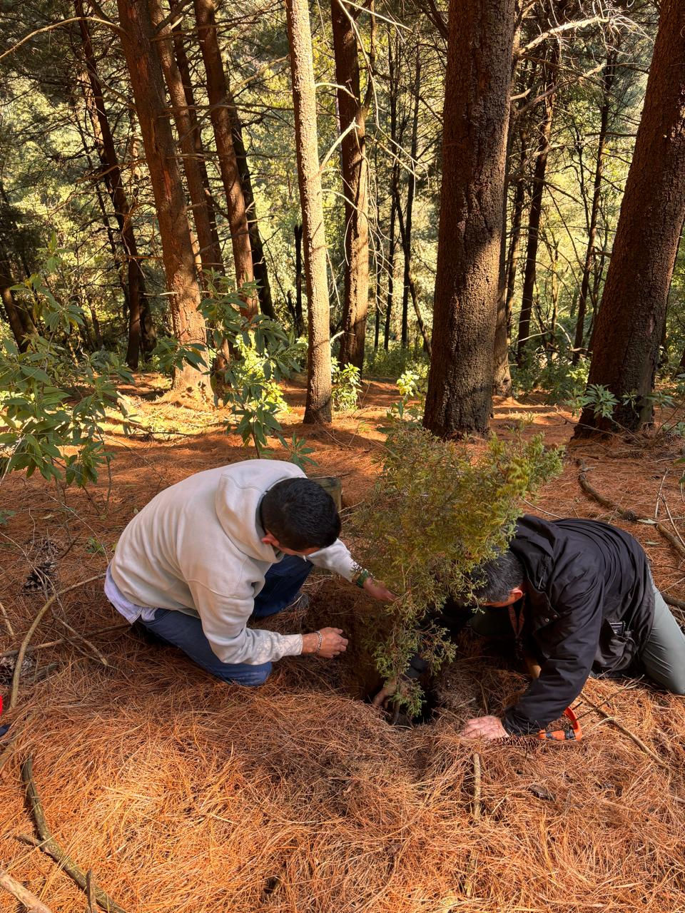 Imagen de WhatsApp 2025-11-03 a las 11.20.33_044bfd77.jpg