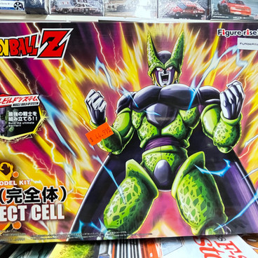 image00124.jpeg