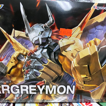 image00117.jpeg