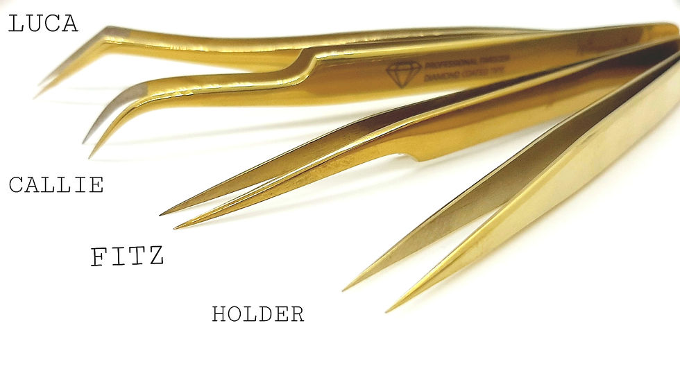 Miniaturbild: Pinzette HOLDER