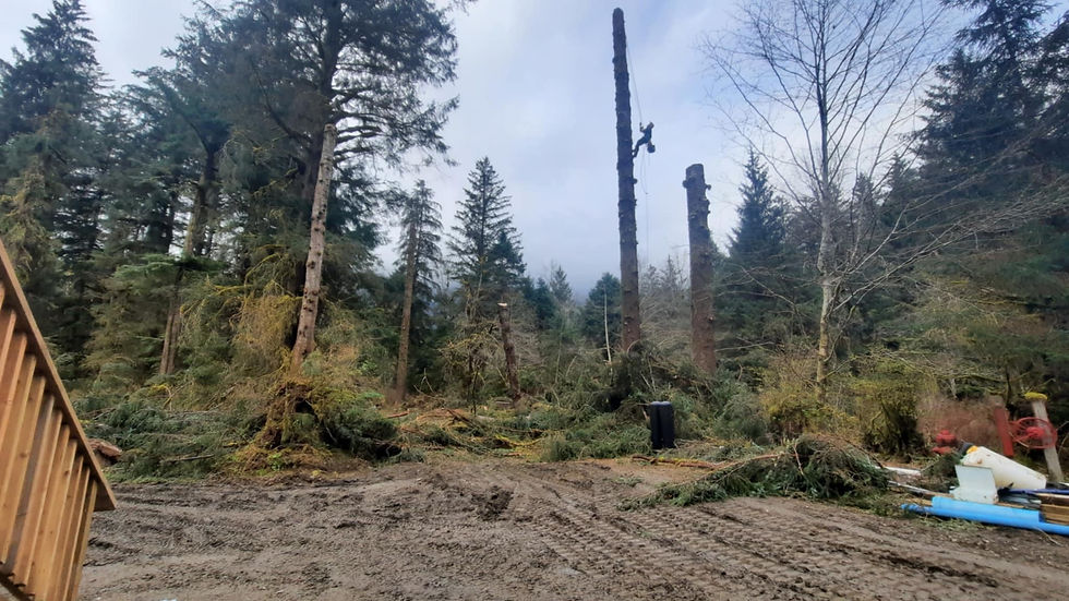 att.t-lAz3kUJzFjyCIbMFPfdhRLgbI6vPwK8-8X-EnpNy4