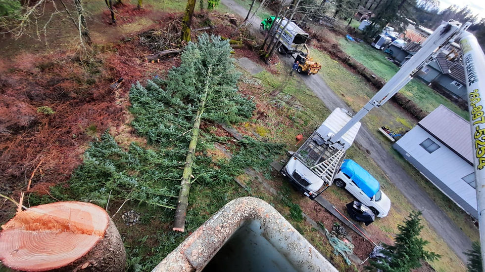 att.O1xJ3j-hegAbJY6C1XpaHgPjxNPTpYmNcmIFlEzUvok