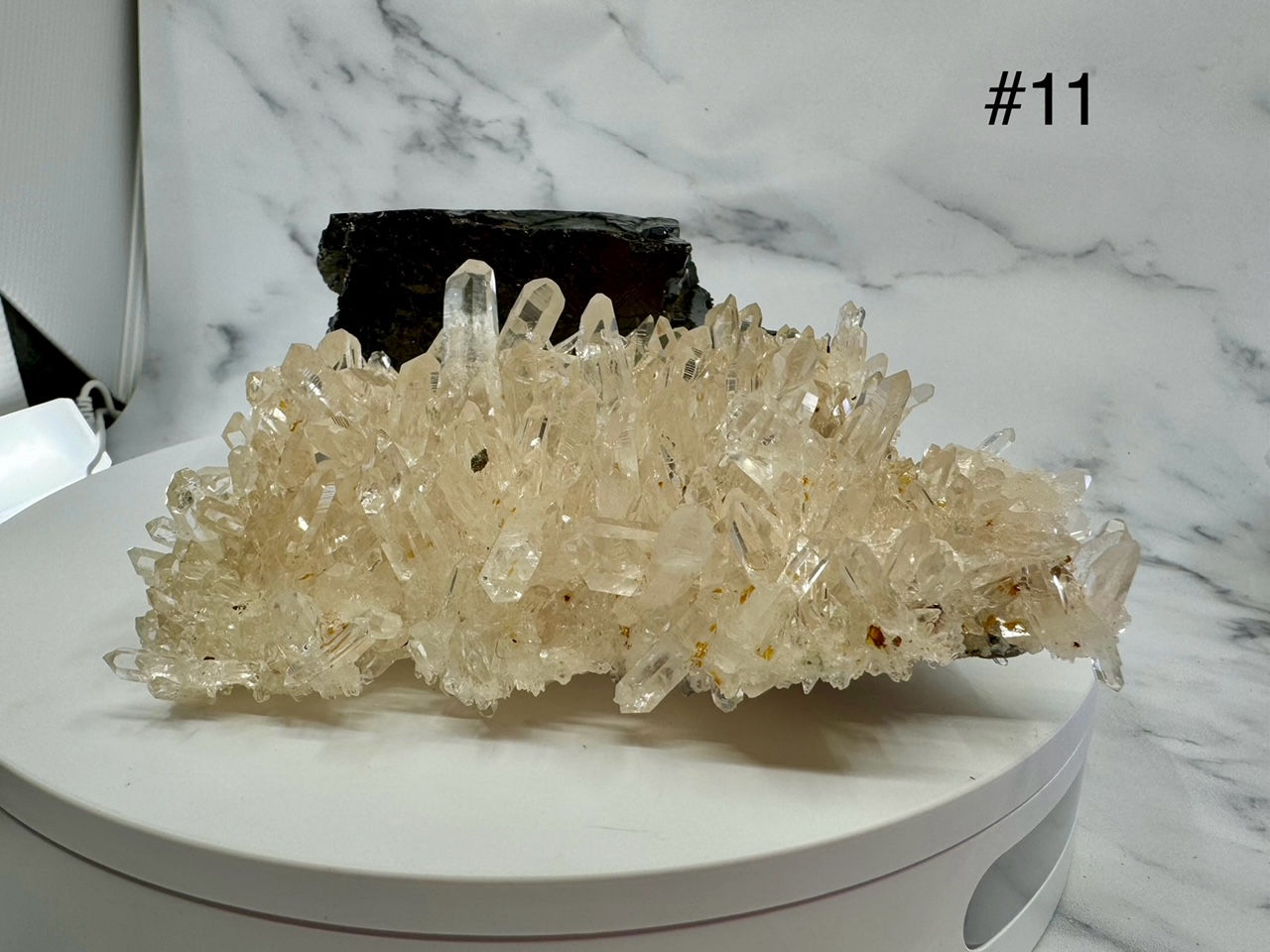 Columbian Clear water cluster