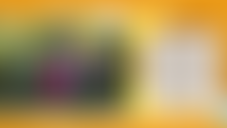 RC19-17 The Sunflower Farm Educational Experience for Kids