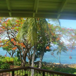 1534317_1483706448507654_8708763917962402997_n (1)