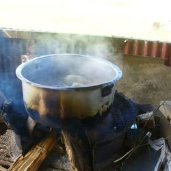 1982246_1483716955173270_1440149996981953314_n