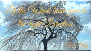 17-30 The Wind Says THIS way