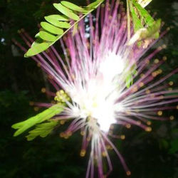 10153889_1483705325174433_6897367157412466088_n