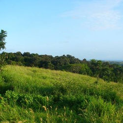 1017469_1483720755172890_2705691327326930418_n