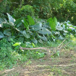 10171175_1483718531839779_2204403529054645426_n