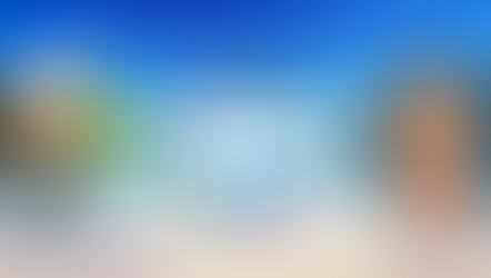 MH20-50 Dr. E. Everett Bartlett, Domestic Violence and Affirmative Action