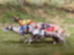 Race