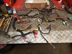 Main wire harness replacement