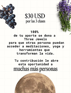 WhatsApp Image 2025-12-02 at 20.59.35 (2).jpeg