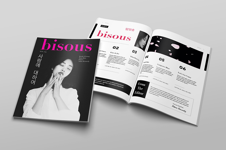 bisous magazine cover & open.png