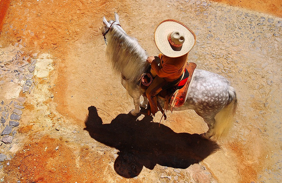Omar Nassif Venezuela