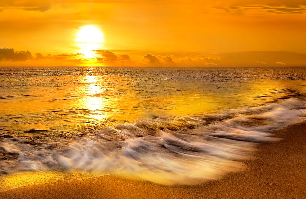 Amanecer hasta el Anochecer consejos con Omar Nassif