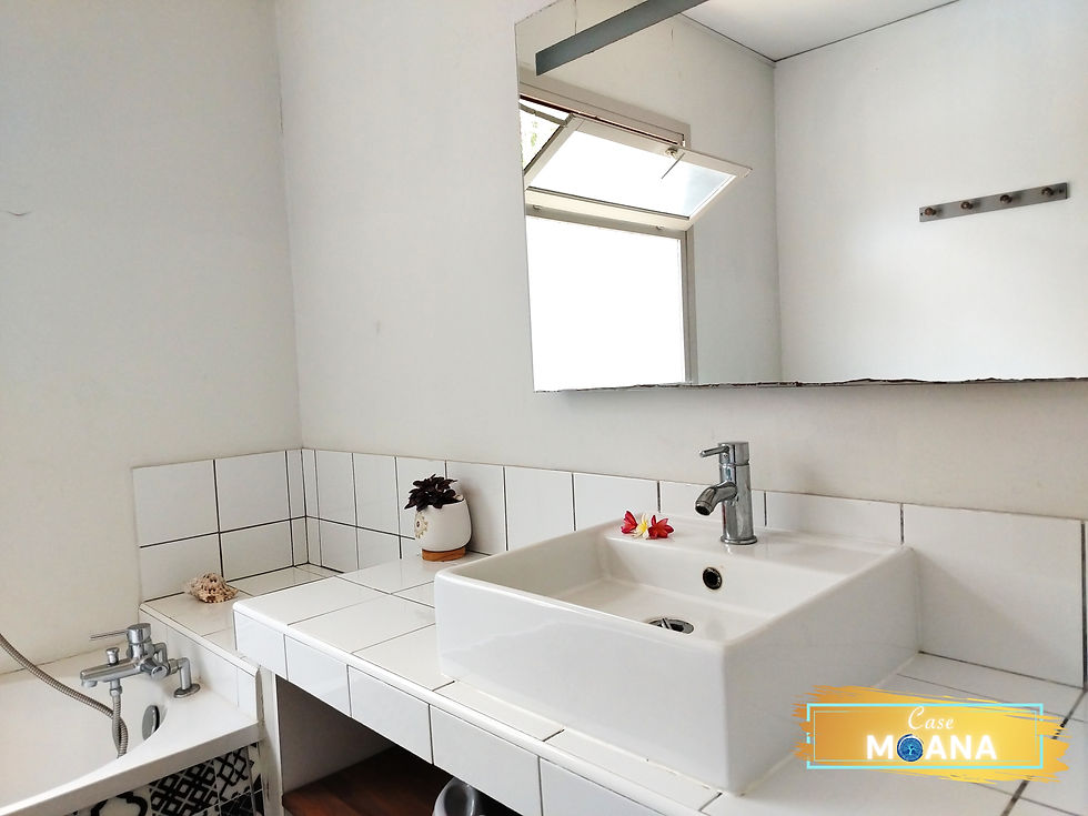 Salle de bain avec vasque blanche et grand miroir