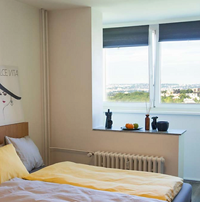 Brocoli Single room.png