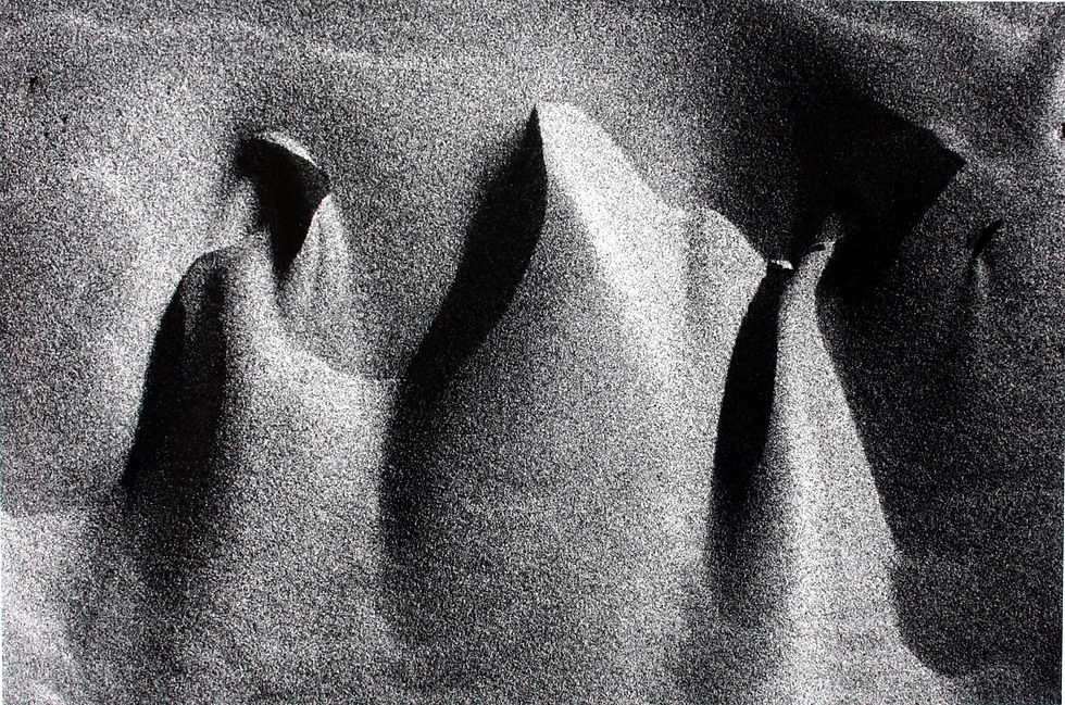 Lucien Clergue - Sables et Marais