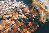 Finding the Savings