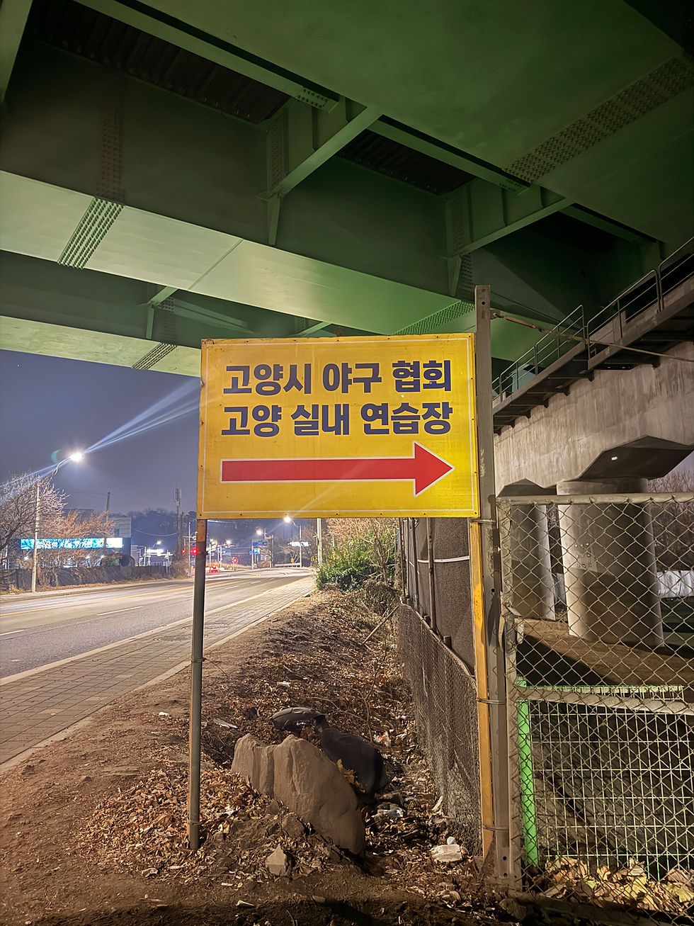 마포 타이거즈 정규연습