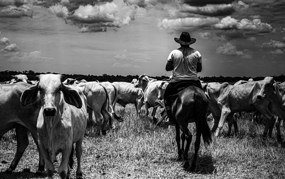 Entrando_en_altos_contrastes_llanos_colombianos_puerto_lopez.jpg