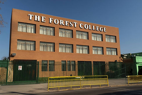 The_Forest_College_sin_cables_4_liviana.jpg