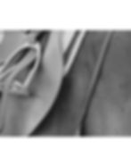 Green polo sport play photo collage (8.5 x 11 in) (11 x 14 in).jpeg