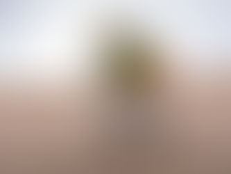 Collectible Décor: What Makes MOVA Globes a Timeless Investment