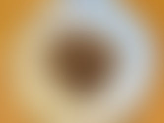 コスタリカ コフィア ディベルサ ポワントゥ