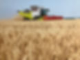 Class Harvester.jpg