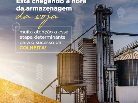 Armazenagem da Soja!