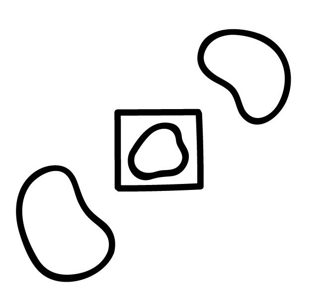 5fanny_hypothesis.gif