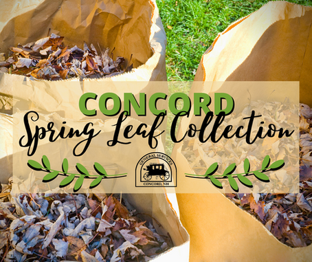 Spring Leaf Collection Begins April 22