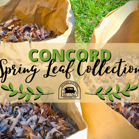 Spring Leaf Collection Begins April 25
