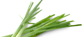 Chives_edited_edited.png