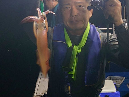 8月30日 今日の白いか釣り