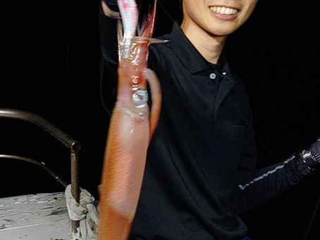 8月9日 今日の白いか釣り