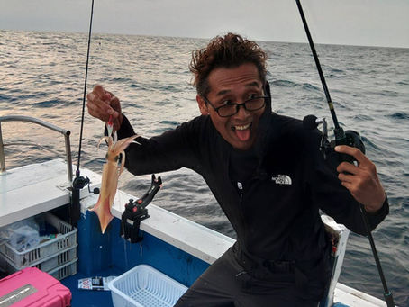 7月13日 今日の白いか釣り