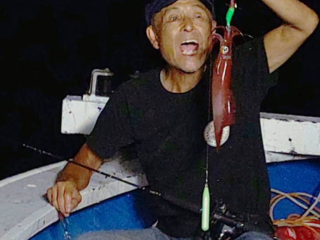 8月18日 今日の白いか釣り