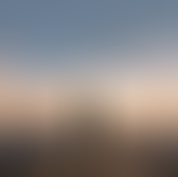 What’s Keeping Executives Up at Night: AI, Economics, Talent, and Trust