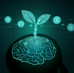 Positive Psychology as it Relates to Executive Coaching