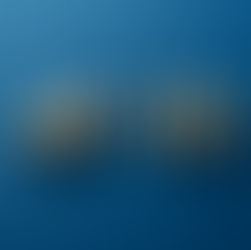 Mastering Responsibility & Leading with Heart