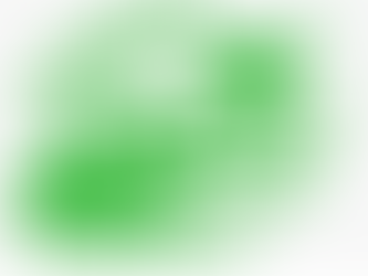 The Arlington Green Home Choice program