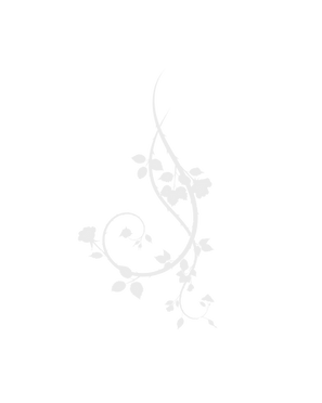Cora Rose New Logo (6)_edited.png