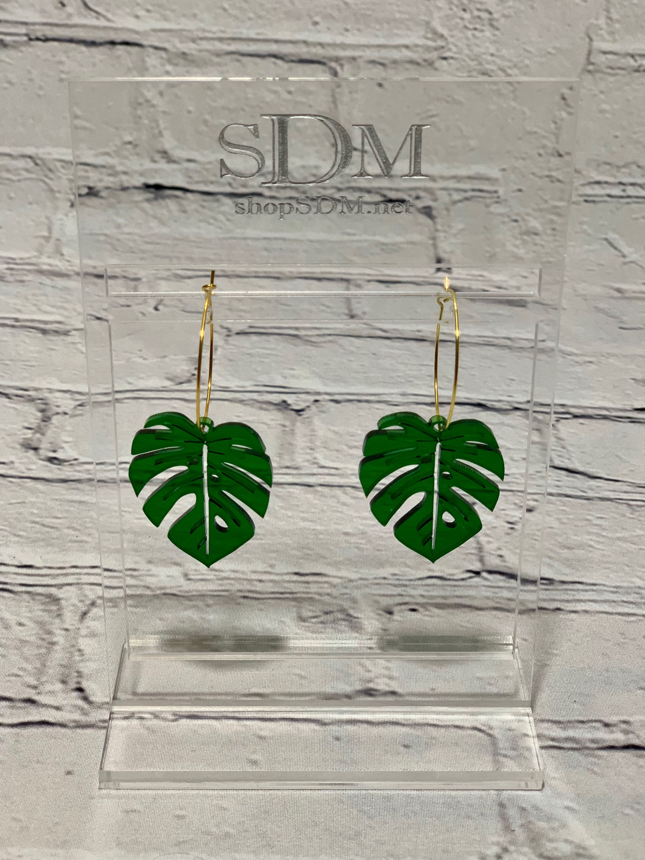 Large Translucent Monsteras