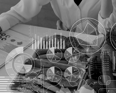 Cirurgia Plastica Ana Carvalho