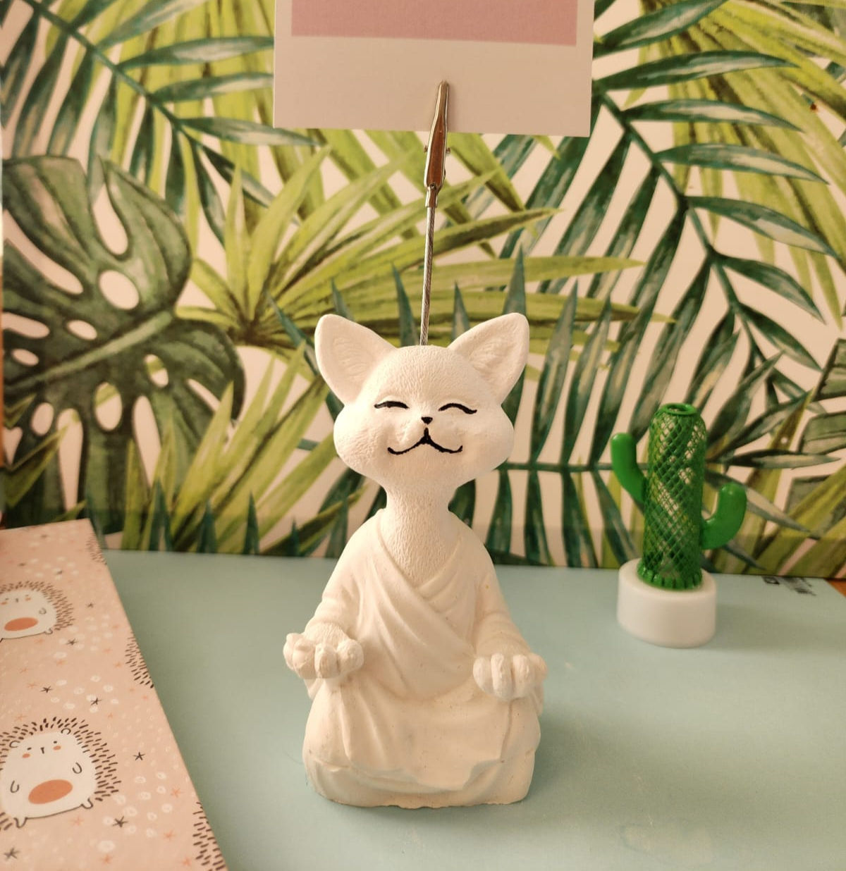 Yoga Yapan Kedi Notluk