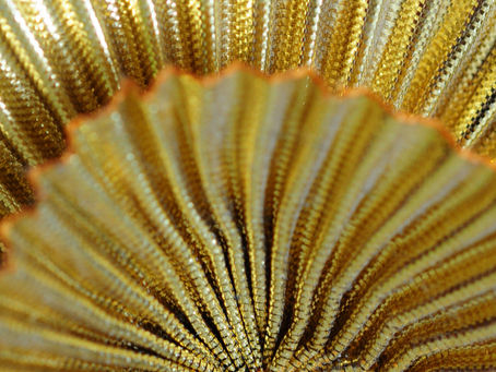 Self-care: An act of kindness